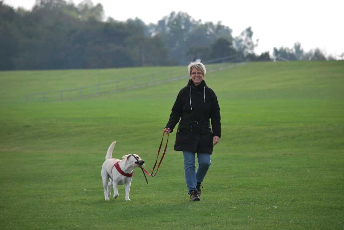 Best-Dog-Walking-Tips-&-Advice