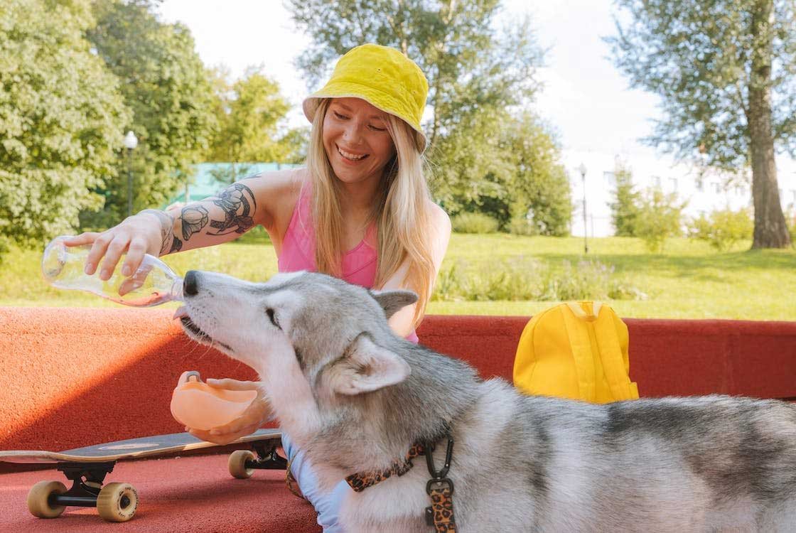 Keep-your-dog-hydrated