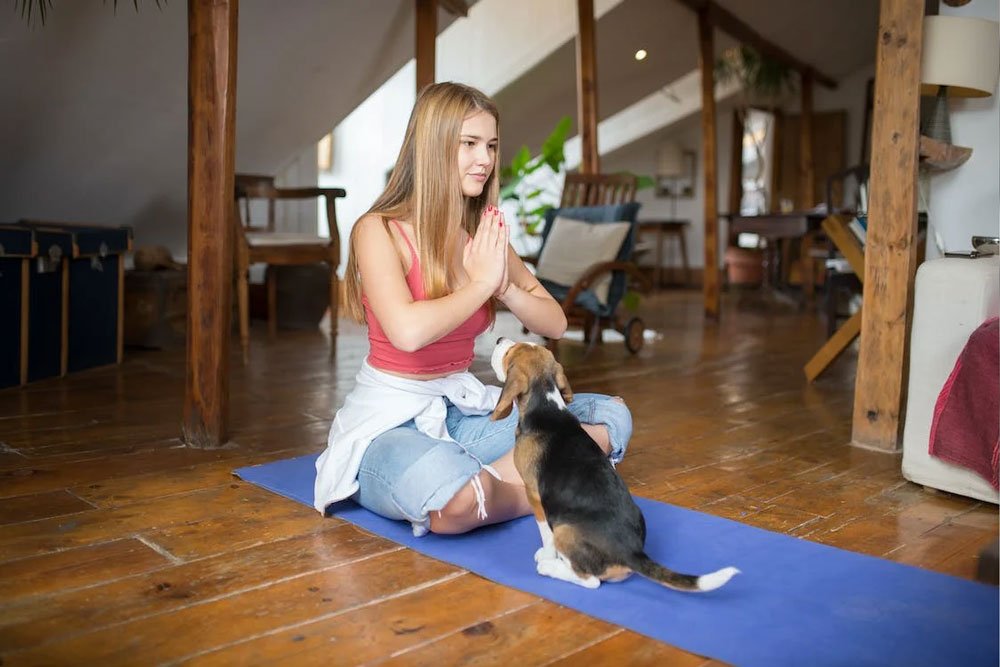 Physical-Health-Benefits-By-Having-Pets