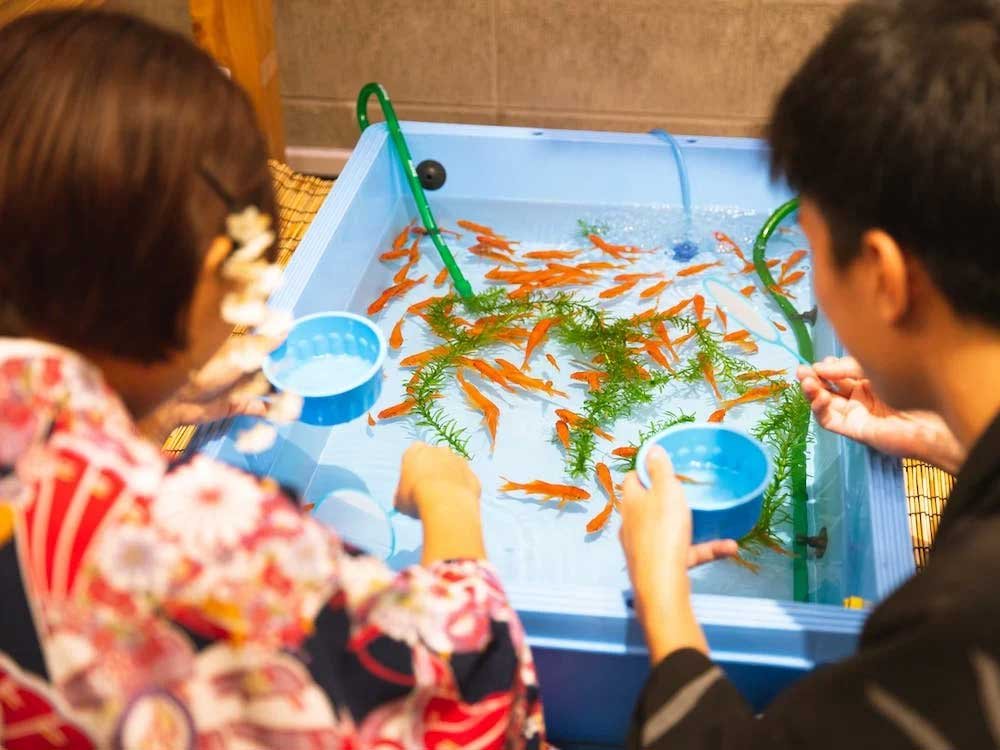 Popular-Pets-for-First-Time-Owners-Fish