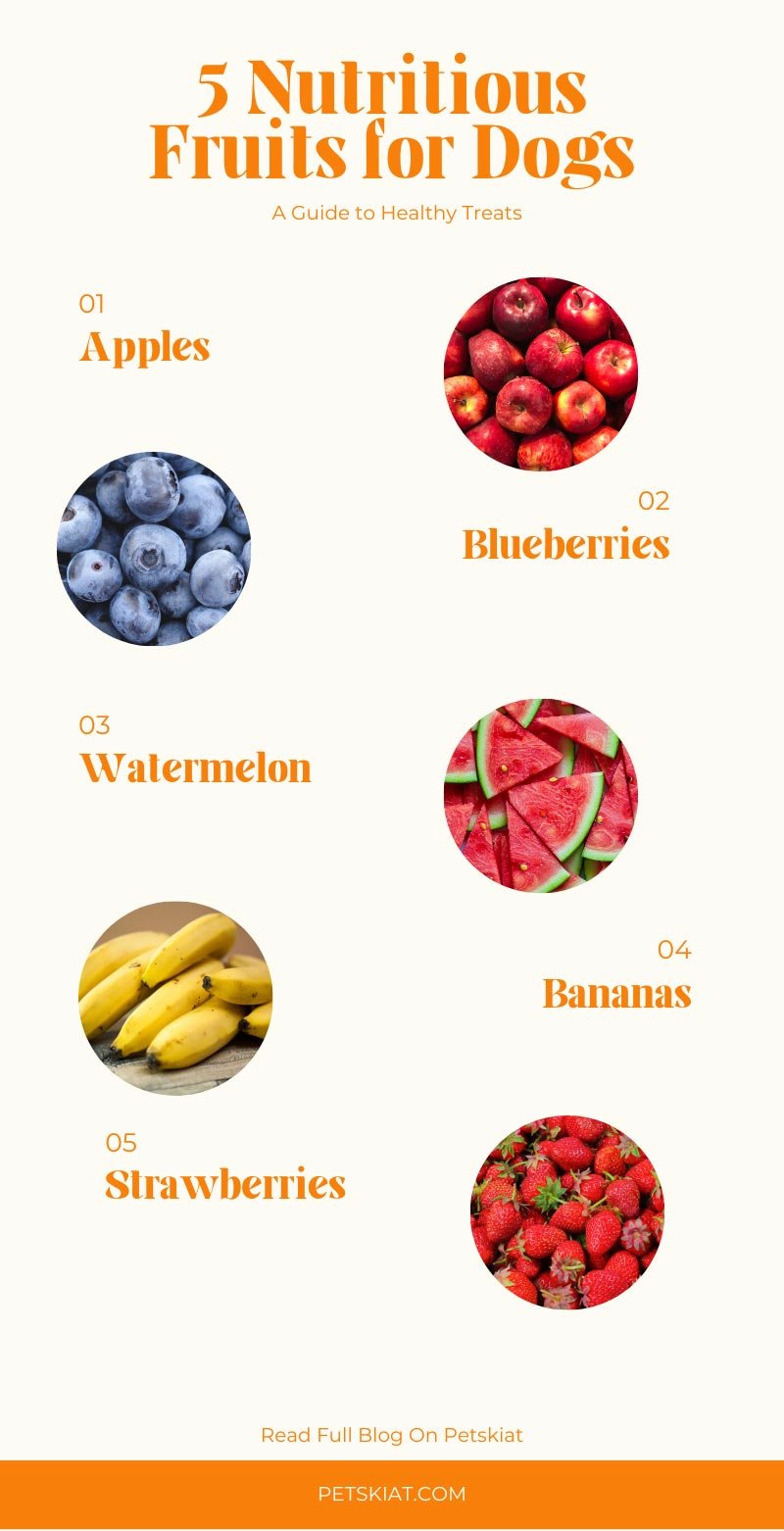 5-Nutritious-Fruits-for-Dogs