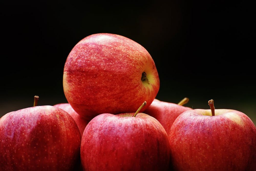 Apples-For-Dogs