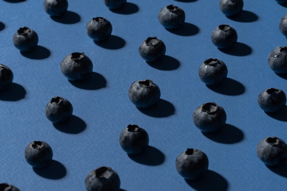 Close-up of Blueberries Photo