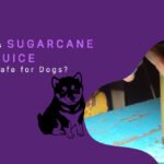 Is Sugarcane Juice Safe for Dogs?
